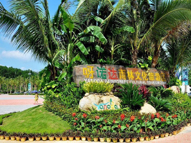 保亭基地——呀喏达热带雨林简介